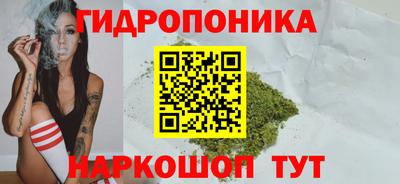 прущие грибы Краснодар
