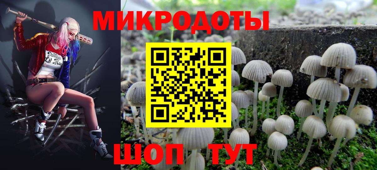 Псилоцибиновые грибы Psilocybine cubensis Калининград