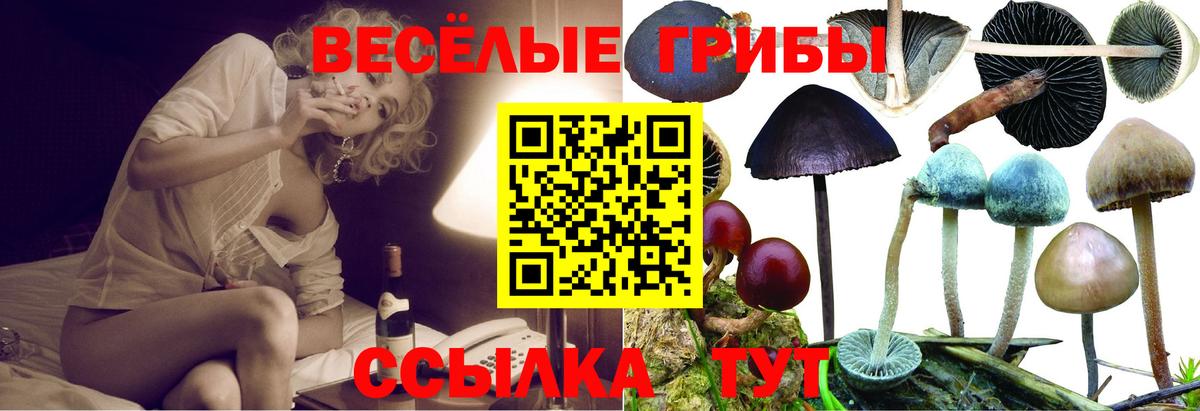 Галлюциногенные грибы мухоморы  Вход с VPN  Калининград  Галлюциногенные грибы прущие грибы 