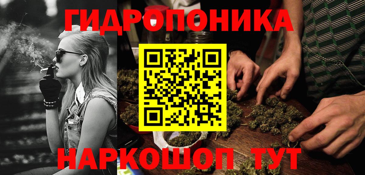 Шишки марихуана конопля Калининград
